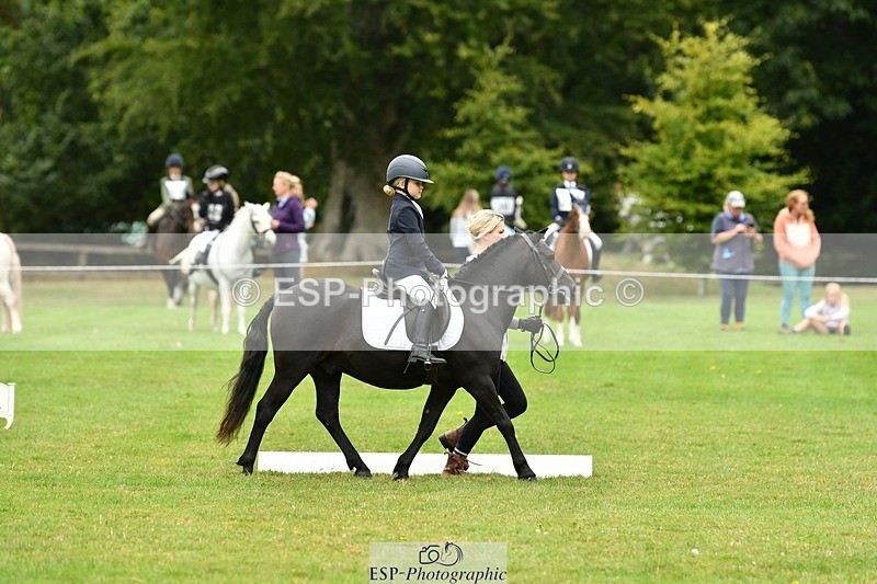 250820A-104950-04768 - Start to 11am