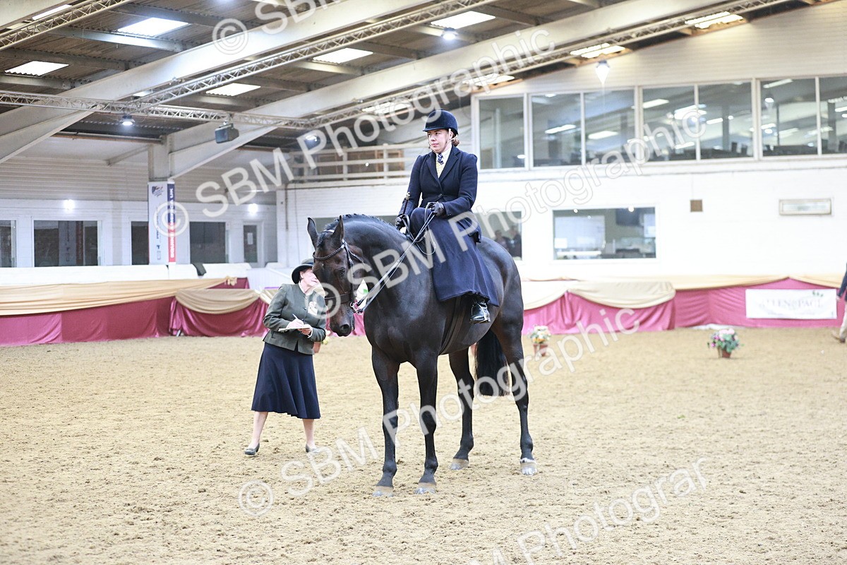 SBM_08839 - Class 12R - Regional Ridden Pre-Vet