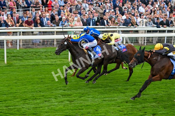 230825-Race 3-Never So Brave-0095 - Race 3 3.00pm Sky Bet City Of York Stakes
