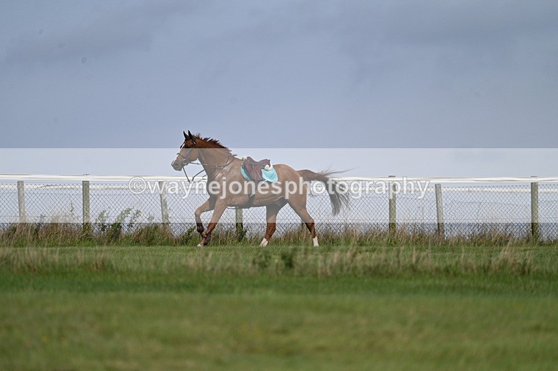 WJ7_7525 - Time 13:21 to 13:29