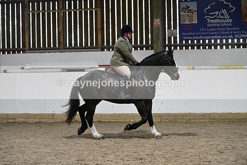 WJ7_3937 - Class 17 Ridden Cob