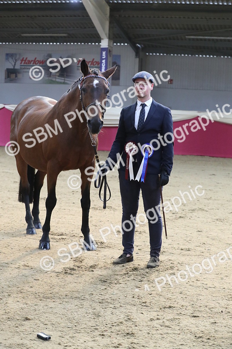 SBM_00319 - Class 1a - Area IH Diamond