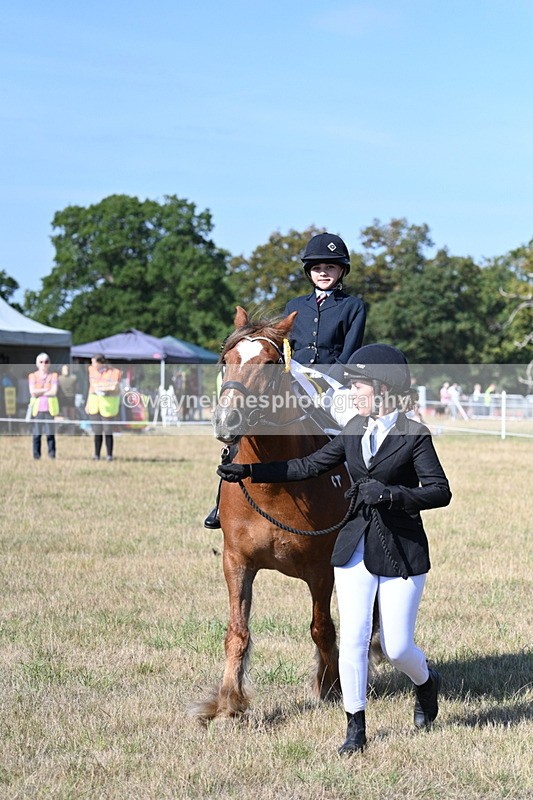 WJ7_3311 - Class 8 Ridden Tack & Turnout