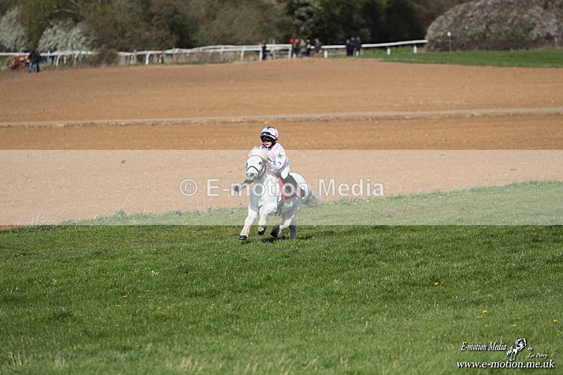 Shet 060426 131 - Shetland Pony Racing Paxford Races Easter Mon 06/04/26