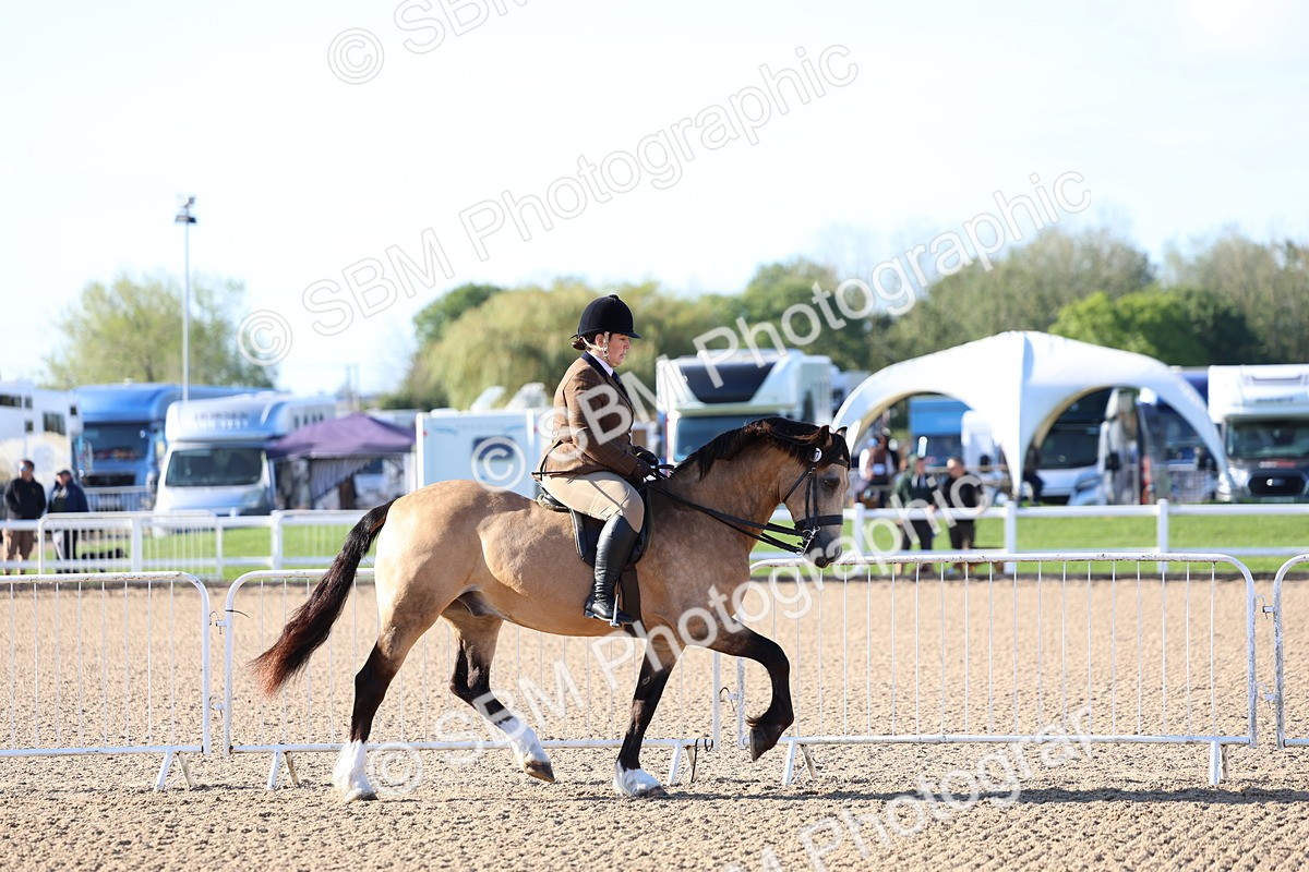 SBM_08743 - Class 302 - Ridden M&M - Large Breeds