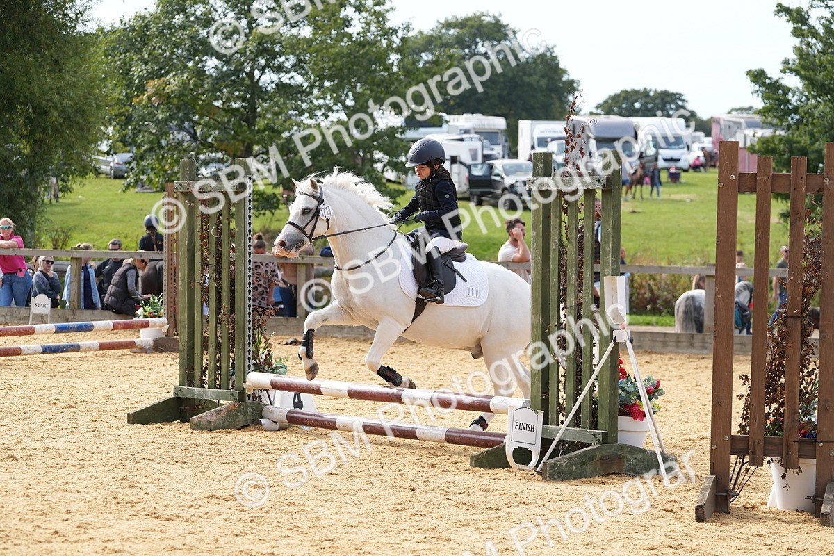 SBM_70466 - J3 - Mini Tour Junior Pony 40cm Championship