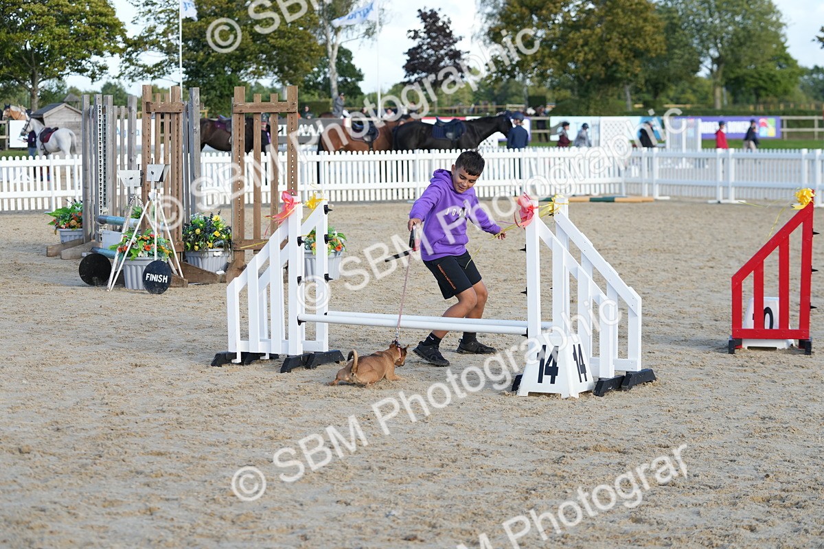 SBM_29100 - J43 - Horse & Hound Open 50cm