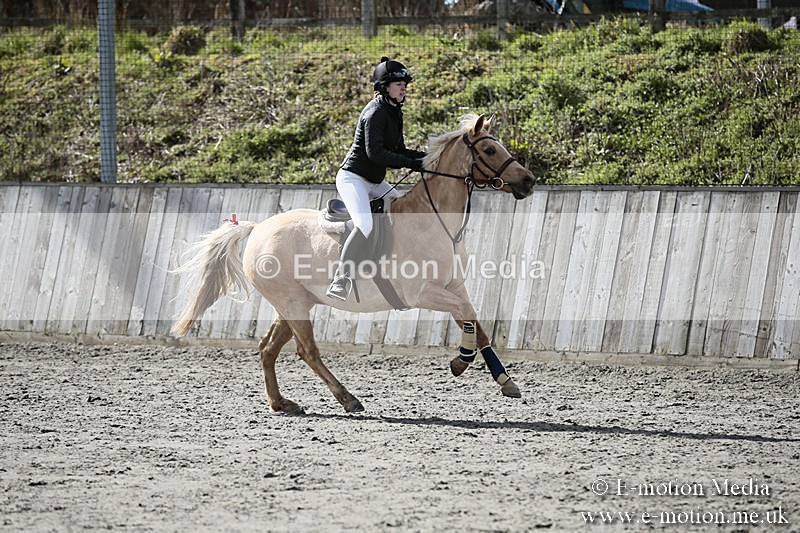 BVRC SJ 170319 445 - Bourne Valley Riding Club Showjumping 17/03/19