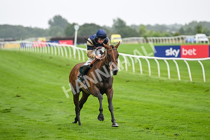 230725-Race 5-Bosphorus Rose-0466 - Race 5