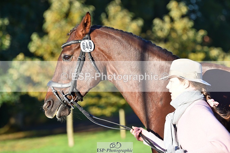 231022-085654-21465 - 649-DONAIL.BEAUANCO-Sheila.Williams-TrotUp+SJ