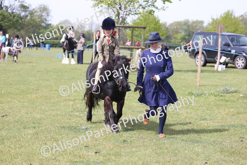 20260426-2566 - Class 31 - Leading Rein