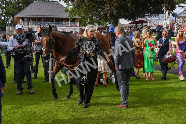 260823-Race 5-Summerghand-1215 - Race 5 Sky Bet Constantine Handicap