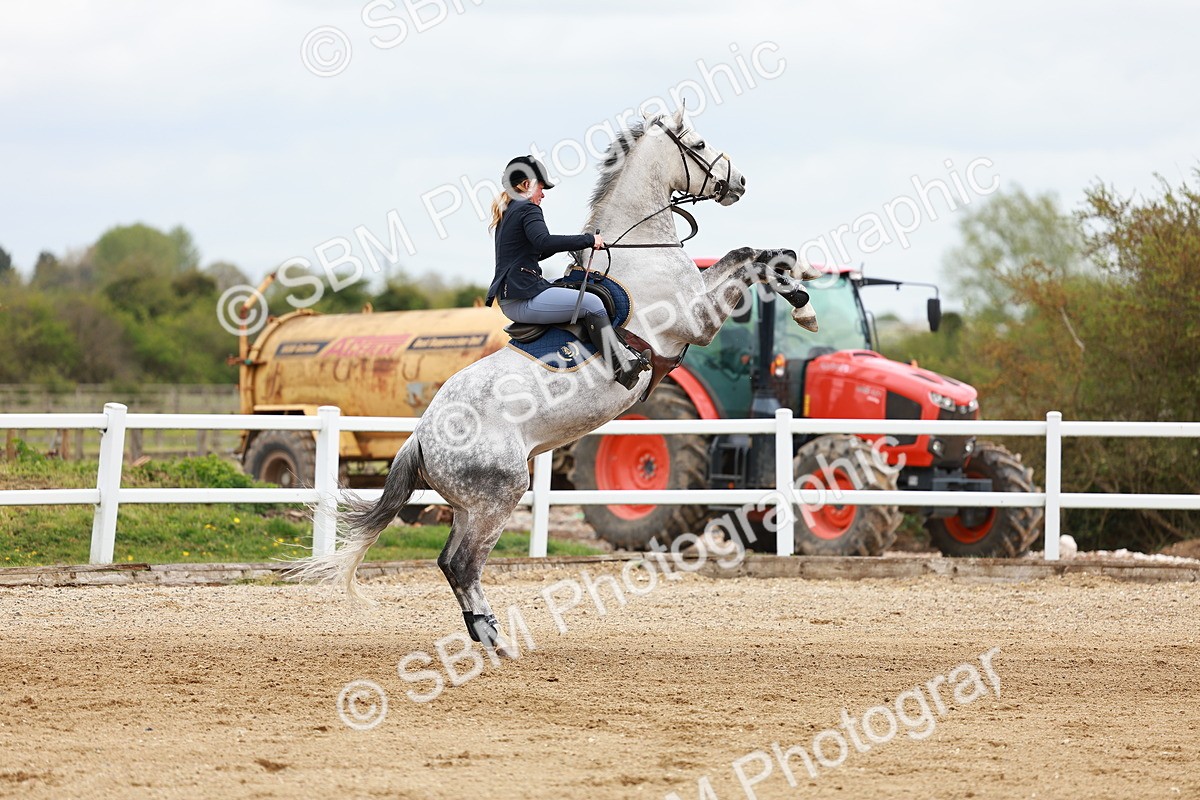 SBM_002527 - Class 10 - Senior Newcomers - 1.10m