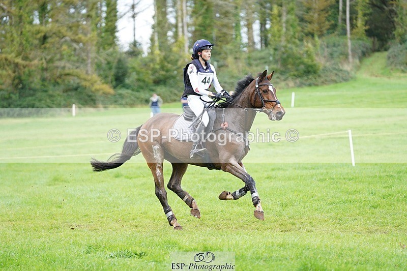231020-121306-08903 - 044-COOLEY.ON.THE.CARDS-Charlotte.Cooke-XC