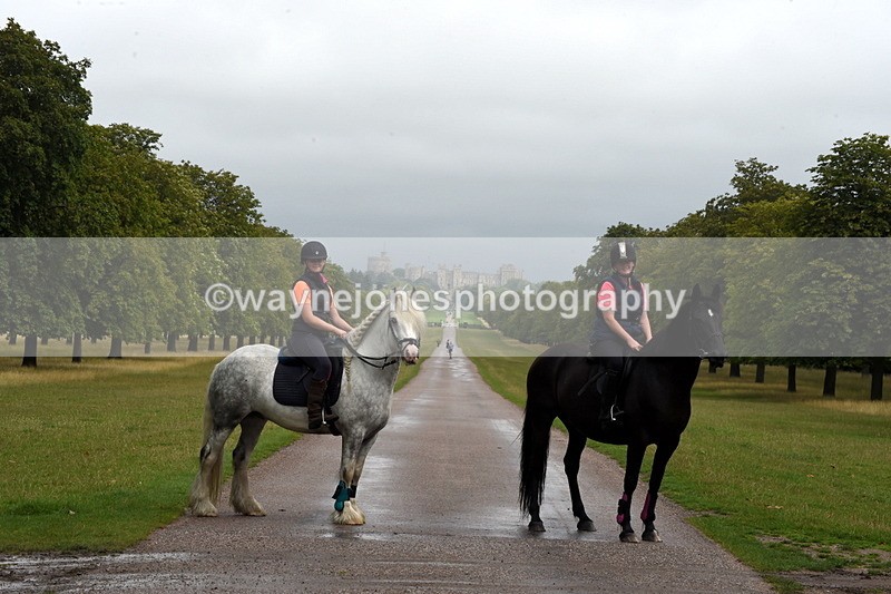 TT3_8284 - Time at Crossing 10:16 to 11:38