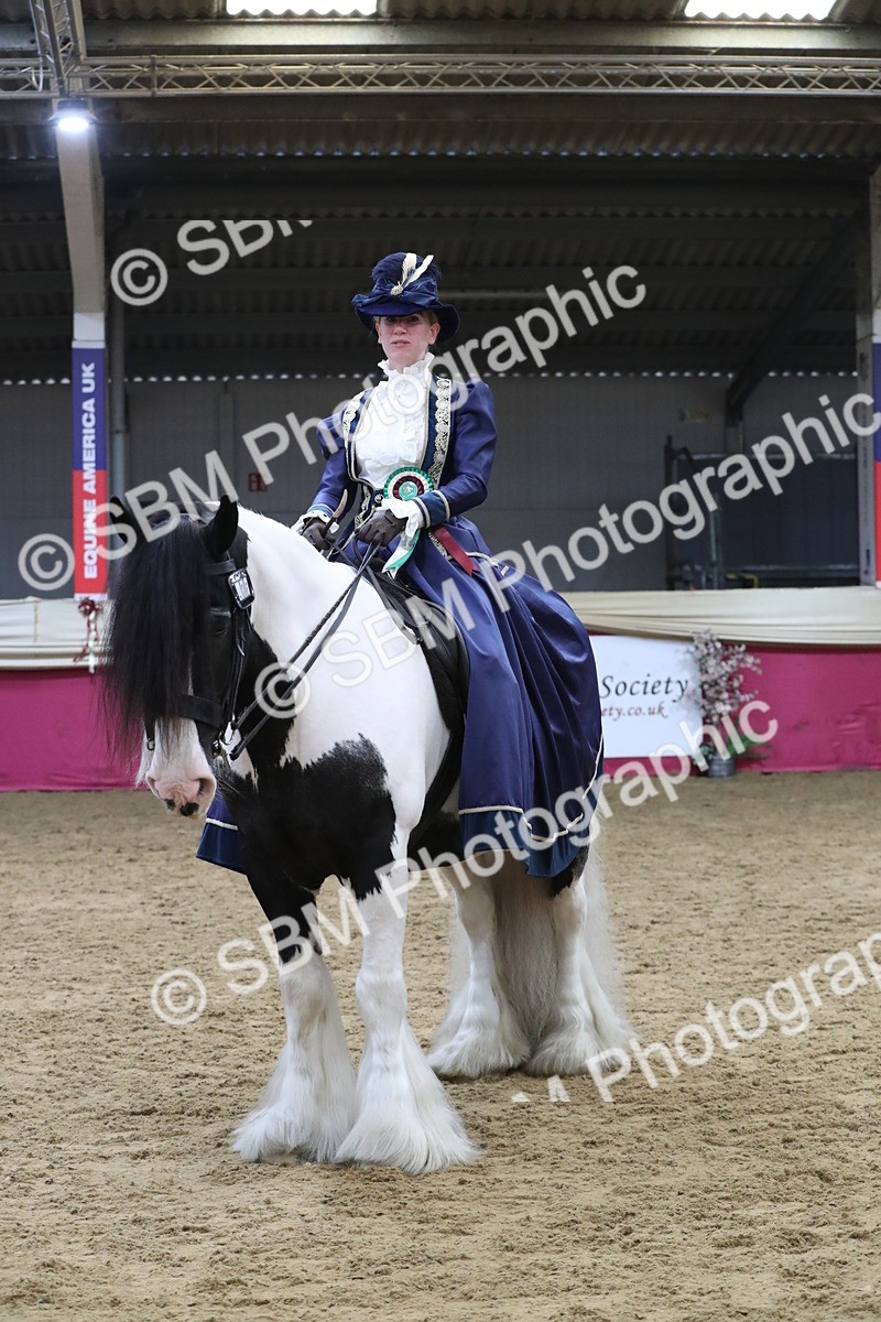 SBM_12066 - Class 106 Ridden Costume- Astride Adult (15-19)