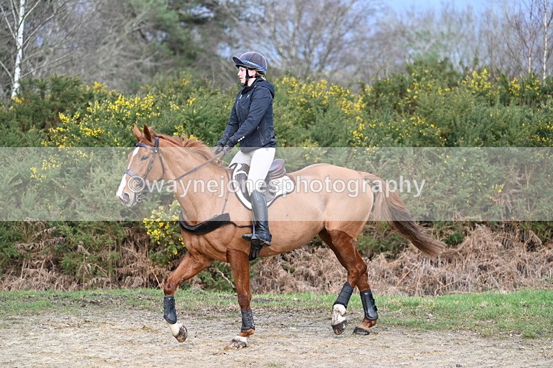 WJ7_8590 - Time 11:41 to 12:16