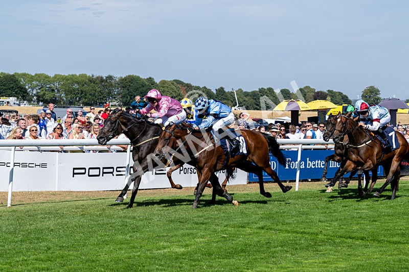 120826-Race 3-Sir David-6131 - Race 3 15.15pm Clearanswer Call Centres Handicap