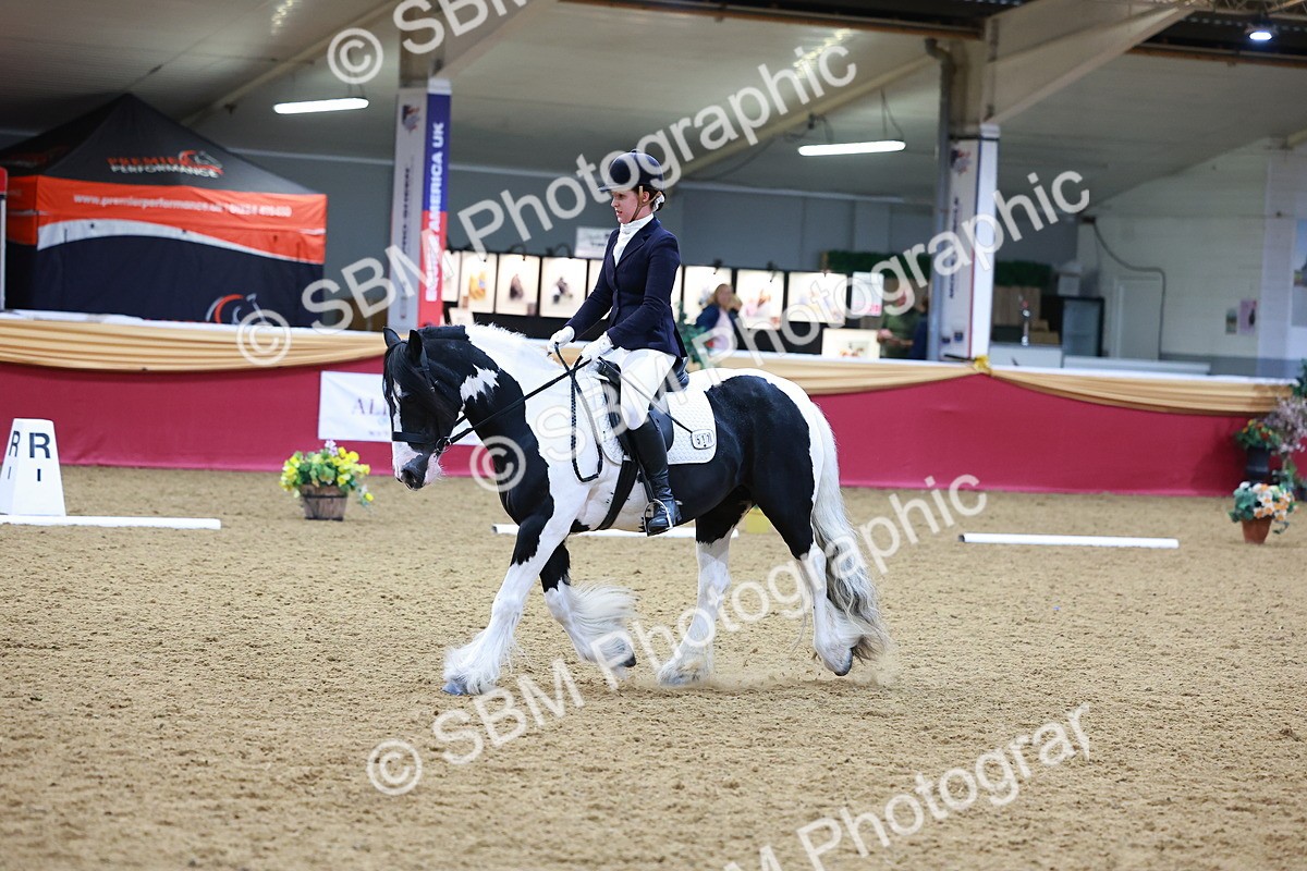 SBM_06473 - Class 61 - Dressage to Music