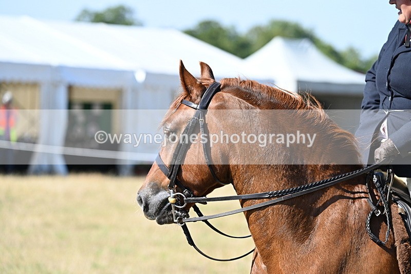 WJ7_3828 - Class 9 Mountain & Moorland Ridden