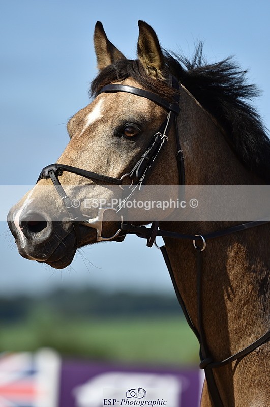 230903A-105000-04045 - Cls 18 Pony Brit Novice & 80cm Open