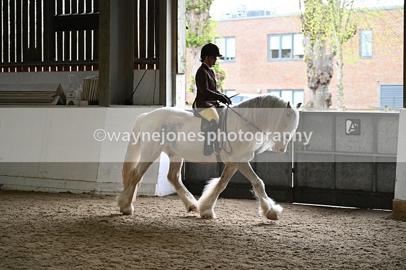 WJ7_3766 - Class 17 Ridden Cob