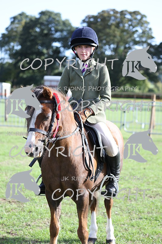 APP_4199 - Class 15a/b Pony club pony/Riding club horse