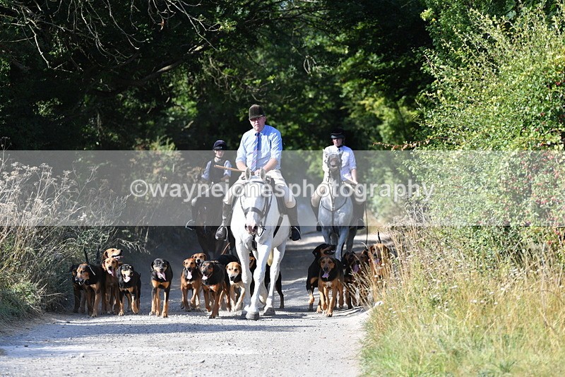 WJ5_4775 - Walk out with the hounds