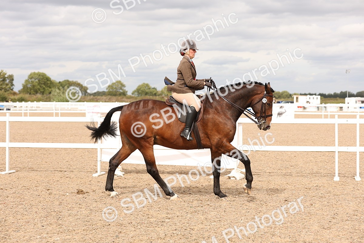 SBM_17285 - Class 213 - Ridden Hunter - Large