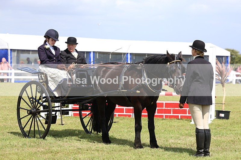 3E7A2744 - Class 12: Open Driving