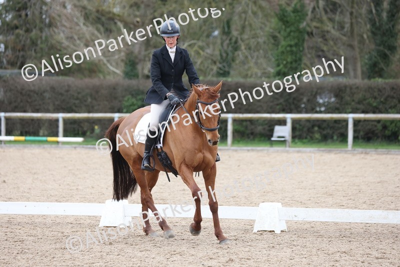 20260301-0311 - Class 3 - Novice 4