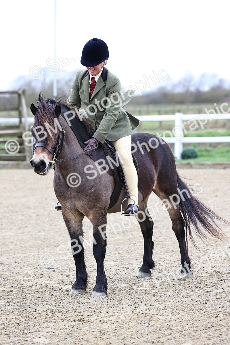 SBM_006799 - Class 29 - 30 - M&M Pure Novice Small-Large Breeds