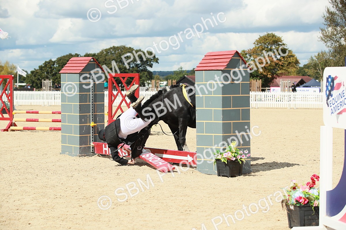 SBM_06223 - J29 Senior 65cm Championship