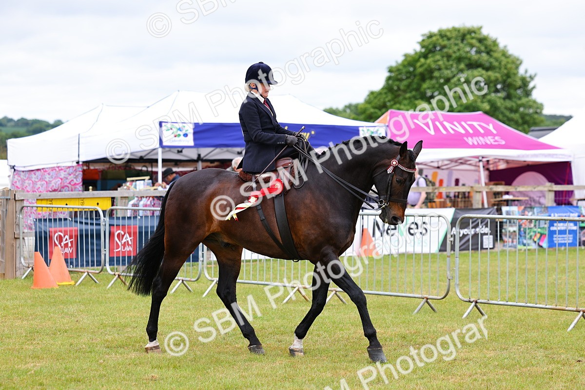 SBM_02867 - Class 9-11 Side Saddle including LIHS Rising Star Ladies Show Horse
