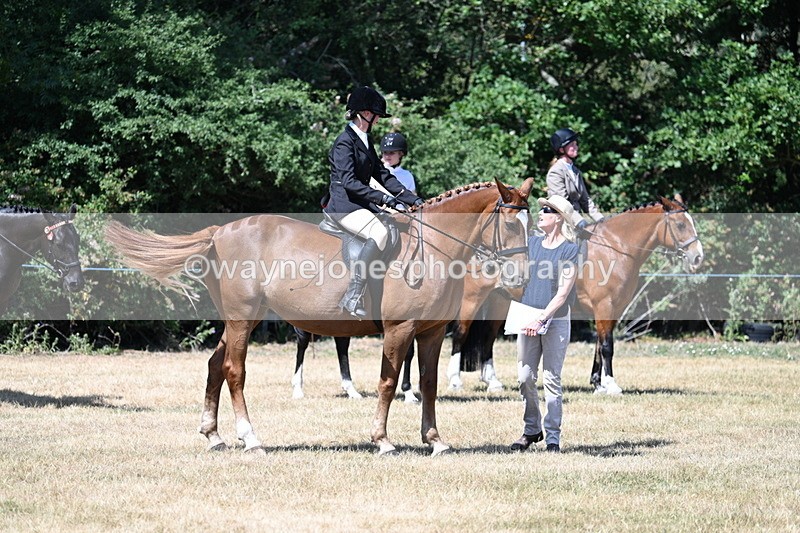 WJ7_3619 - Class 8 Ridden Veterans