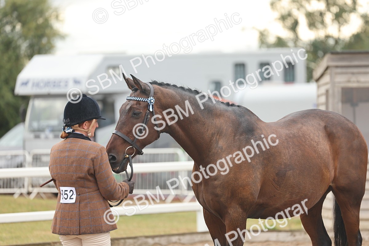 SBM_07788 - Class 27 - IH Competition Horse/Pony