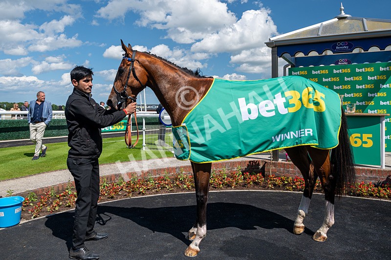 080624-Race 3-Shareholder-2882 - Race 3