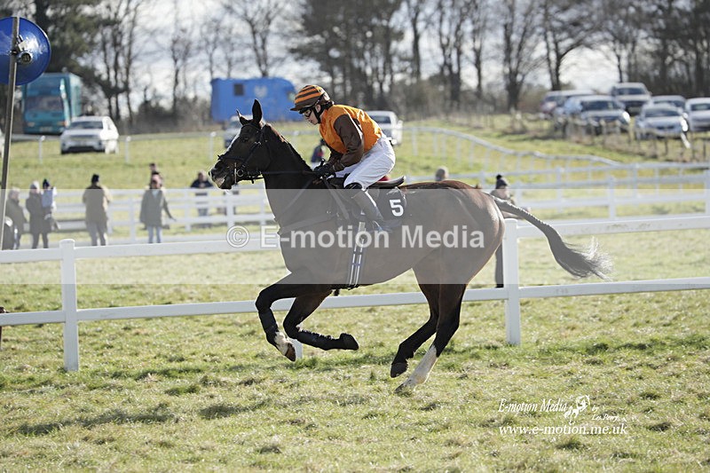 PtP 260223 895 - South & West Wilts Point-to-Point Larkhill 26/02/23