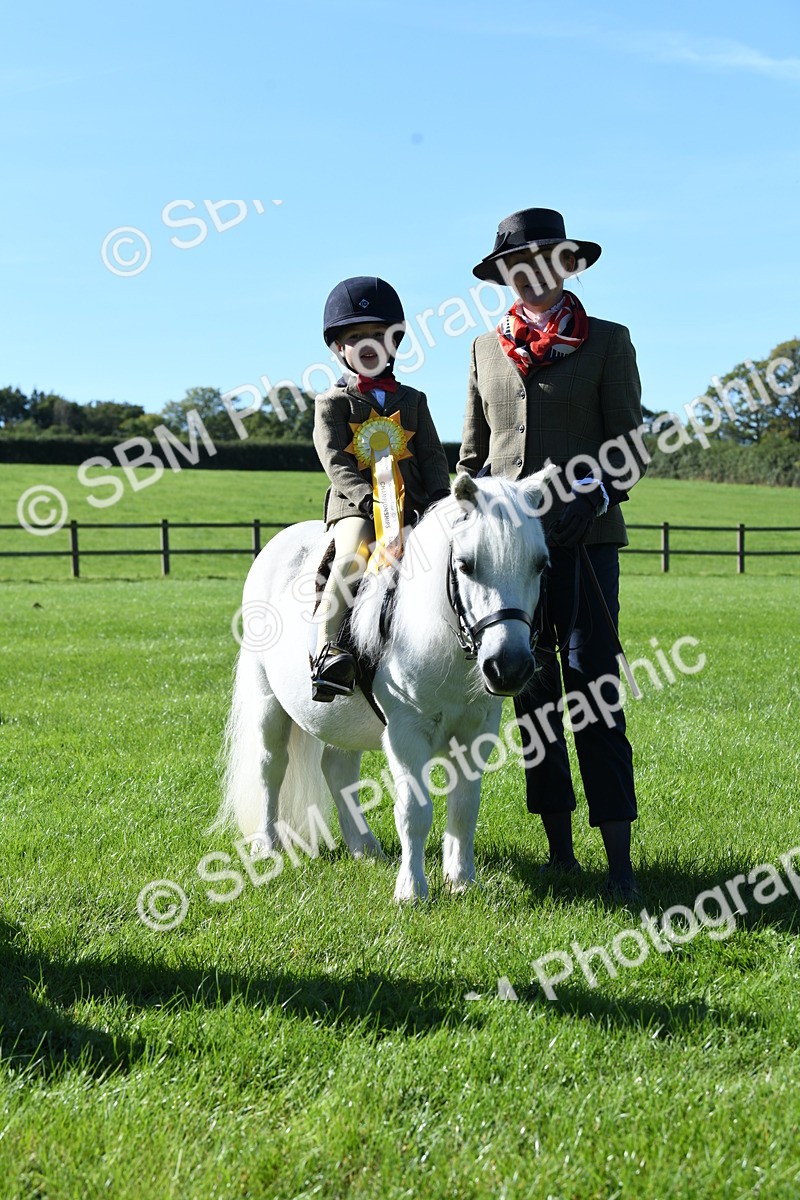 SBM_37063 - S18 - Novice & Newcomers Lead Rein Pony