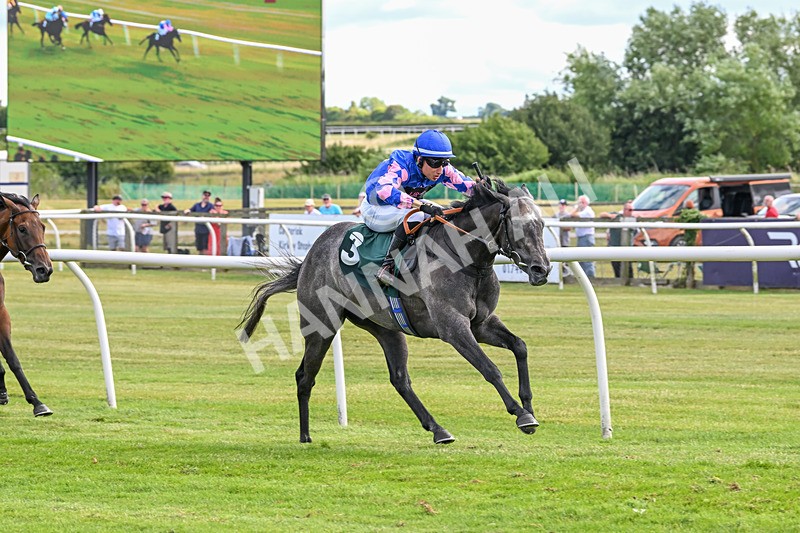 090725-Race 4-Invincible Ruby-3188 - Race 4