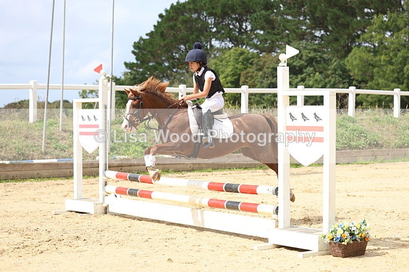 3E7A2015 - Class 10: Junior 60cm