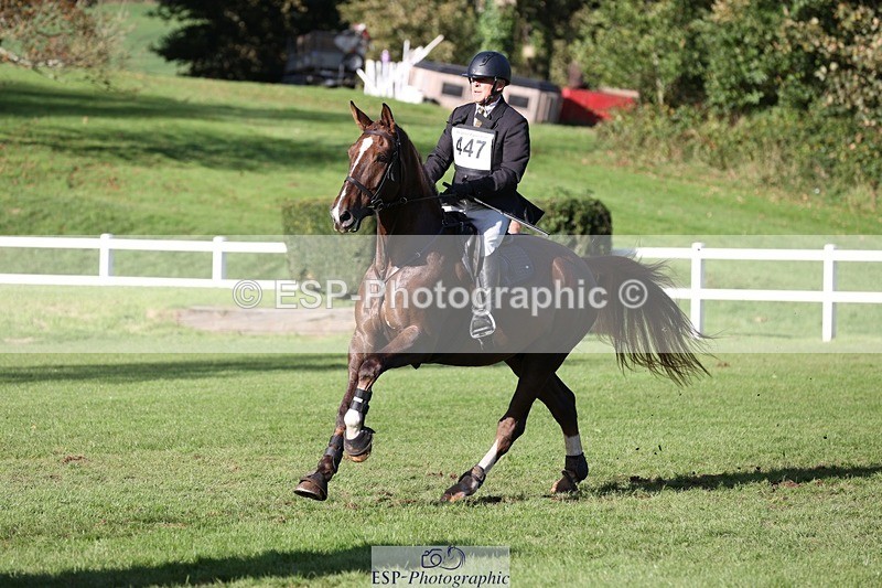 231022-145753-29543 - 447-STALLONE-Andrew.Winterton-TrotUp+SJ