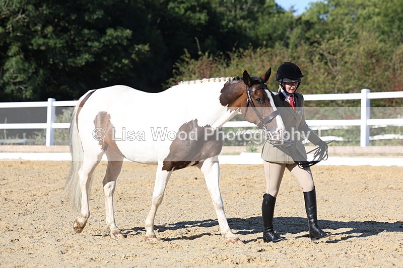 3E7A5328 - Class 8: Small Ridden Hunter
