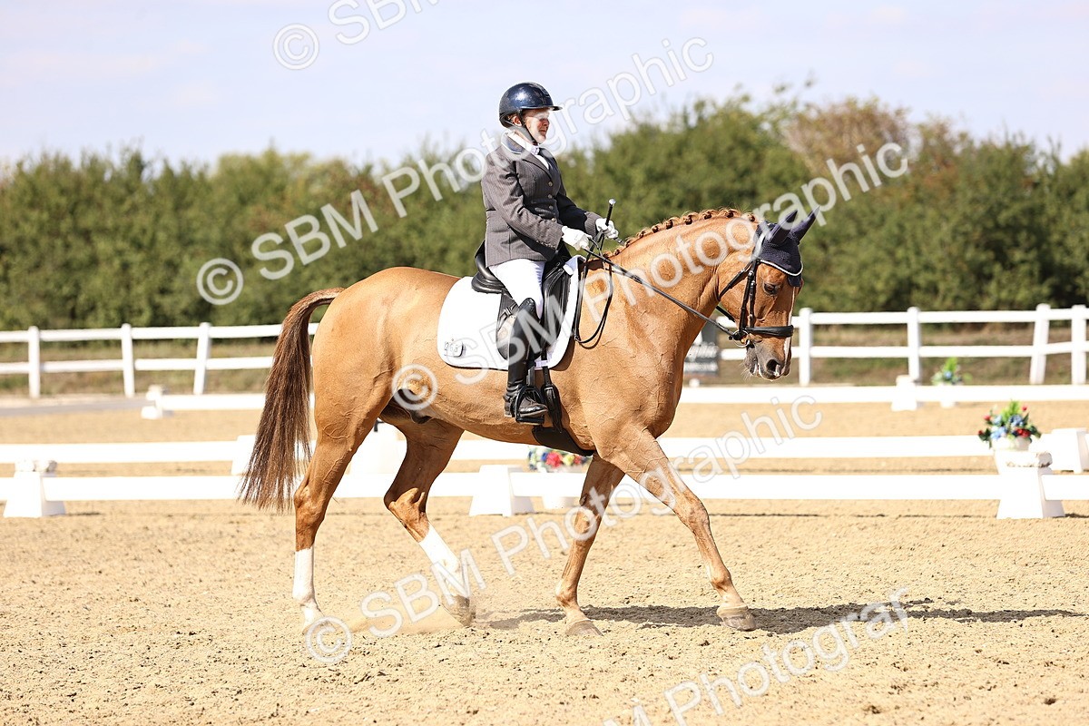 SBM_015097 - Class 6 - Elementary 5