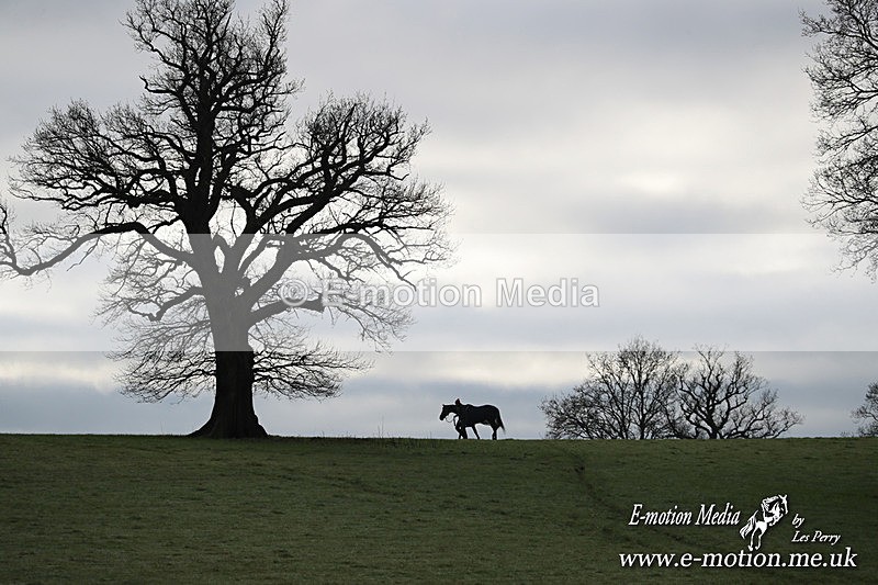 PtP 291224 63 - Harkaway Club PtP Chaddesley Corbett 29/12/24