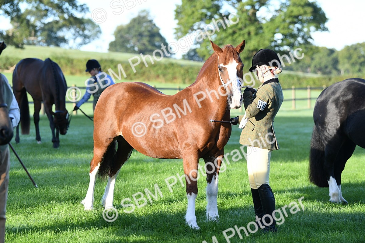 SBM_32766 - S15 - Condition & Turnout In Hand