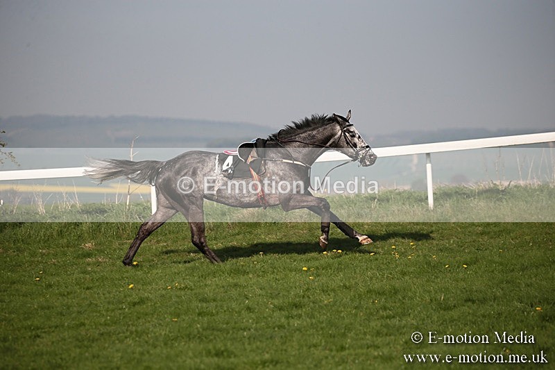 PtP 210418 627 - South & West Wilts Point-to-Point Larkhill 21/04/18