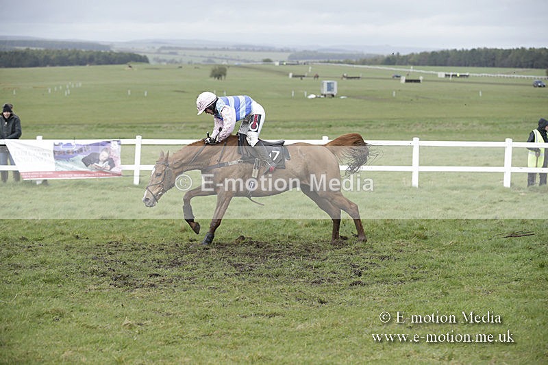 PtP 150320 0440 - New Forest Point-to-Point Larkhill 15/03/20