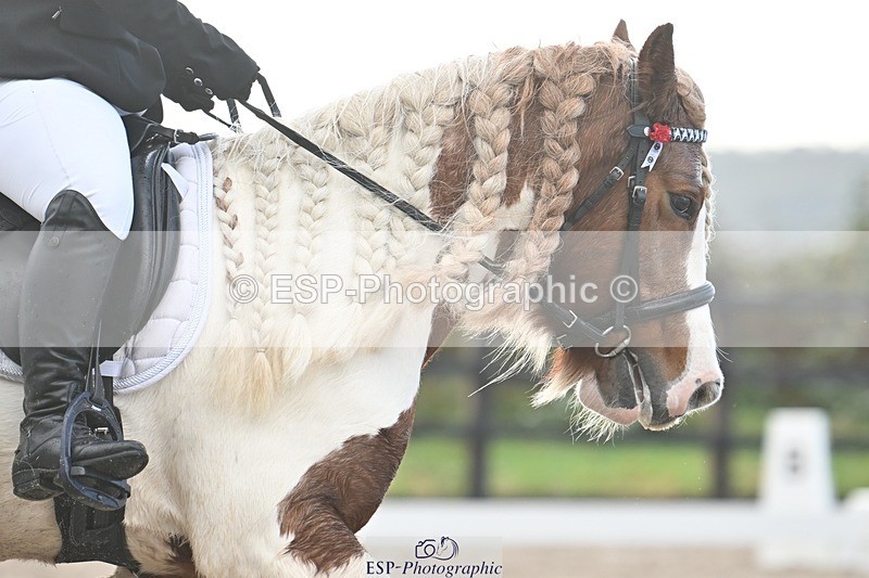 231105-101346-00728 - Cls 3 Prelim 12 9.54 to 11.10 break