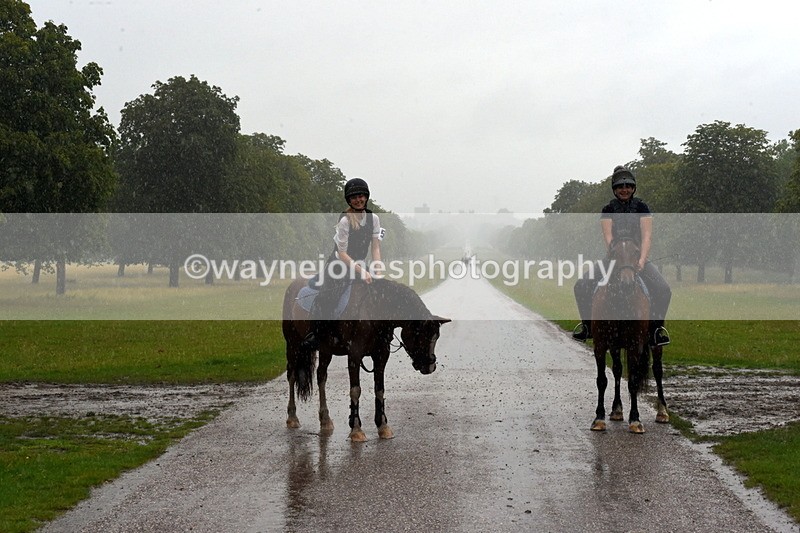 TT3_8838 - Time at Crossing 12:55 to 15:02